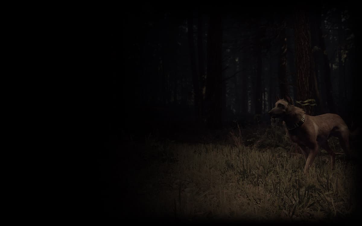 Picture of Blair Witch