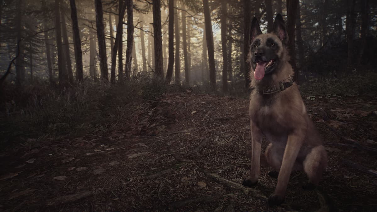 Picture of Blair Witch