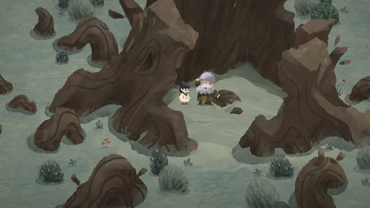 Picture of Carto