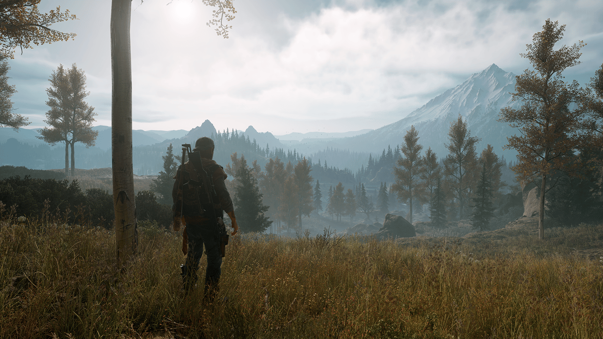 Picture of Days Gone