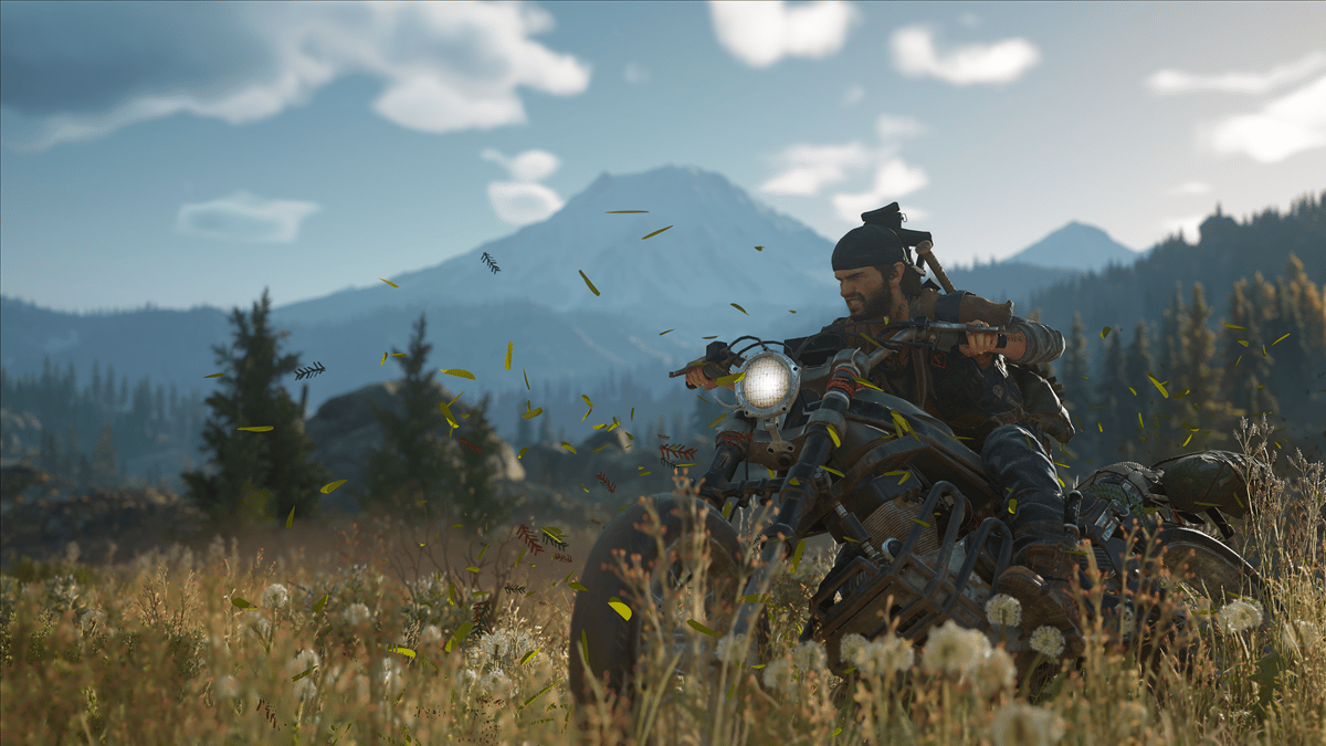 Picture of Days Gone