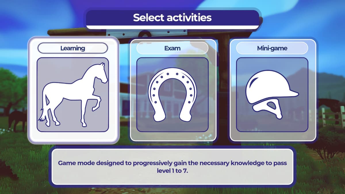 Picture of Equestrian Training