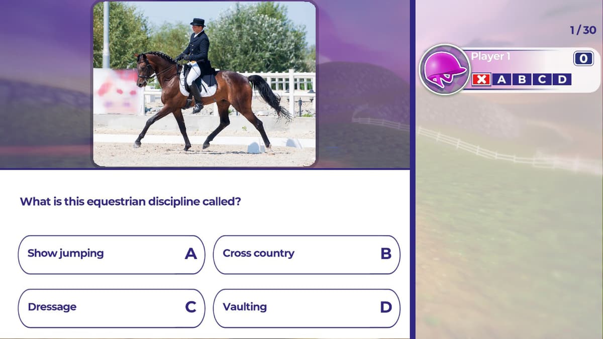 Picture of Equestrian Training
