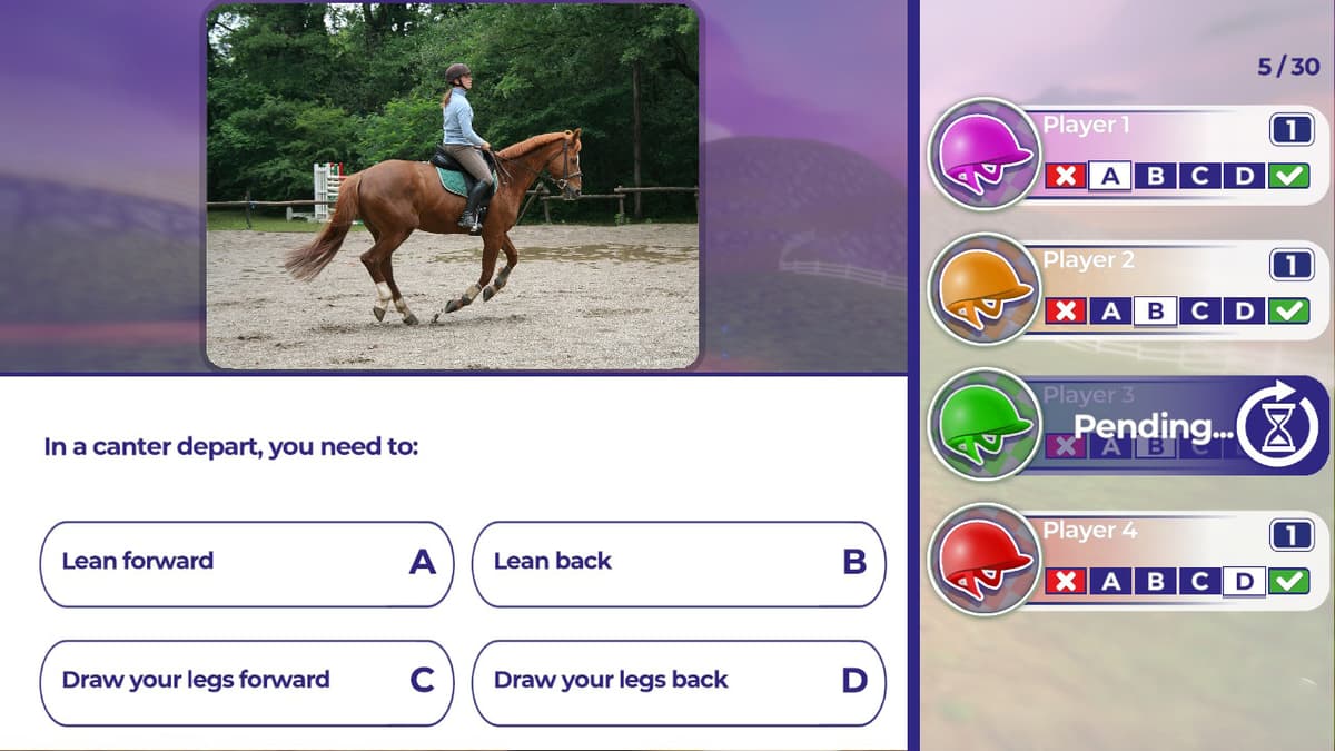 Picture of Equestrian Training