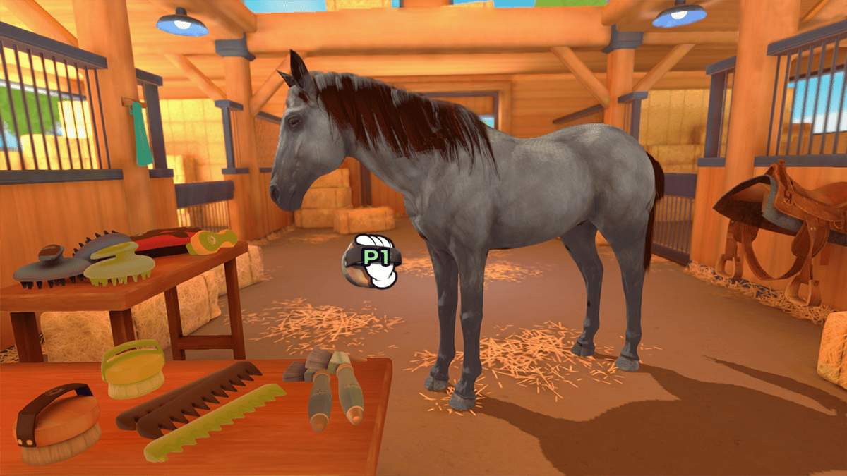 Picture of Equestrian Training