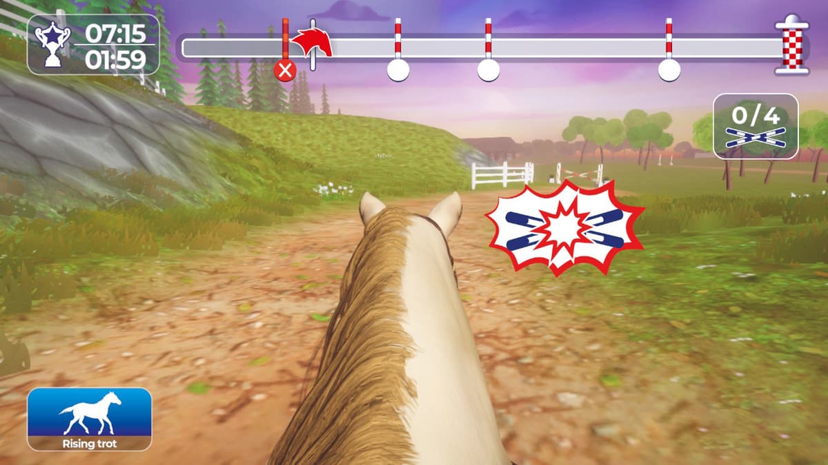 Picture of Equestrian Training