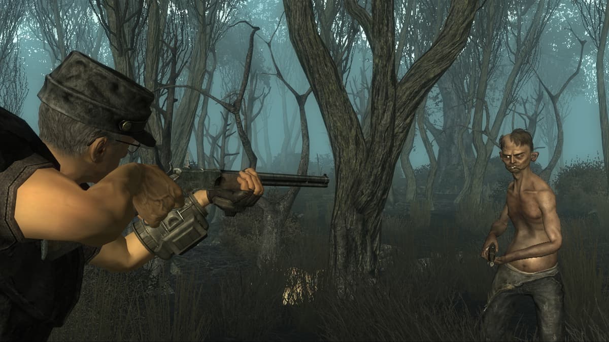 Picture of Fallout 3: Point lookout
