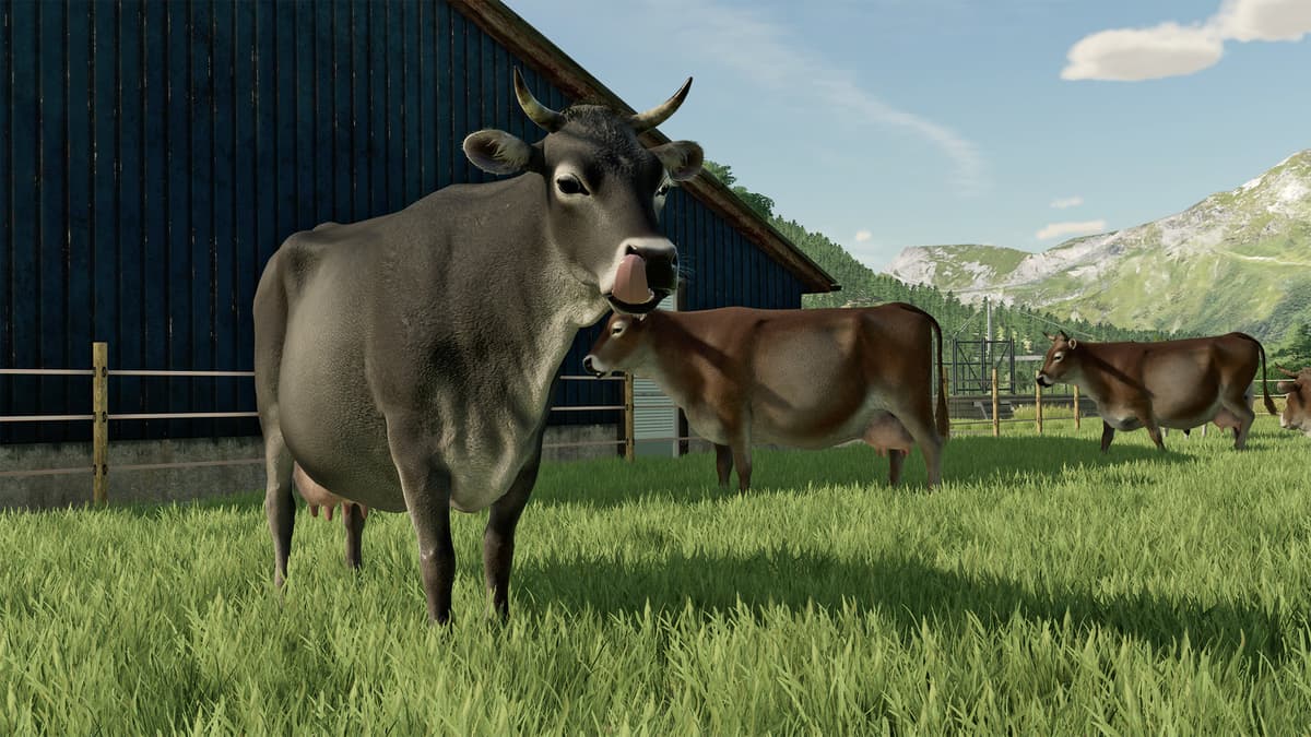Picture of Farming Simulator 22 - Premium Edition