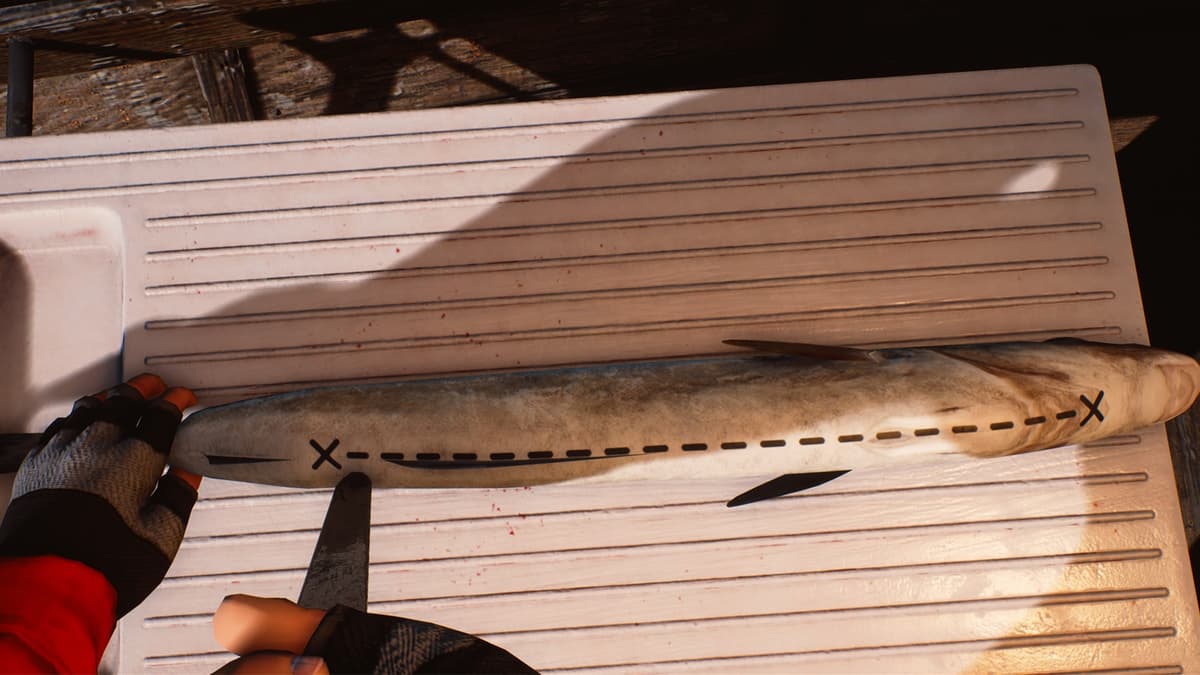 Picture of Fishing: Barents Sea