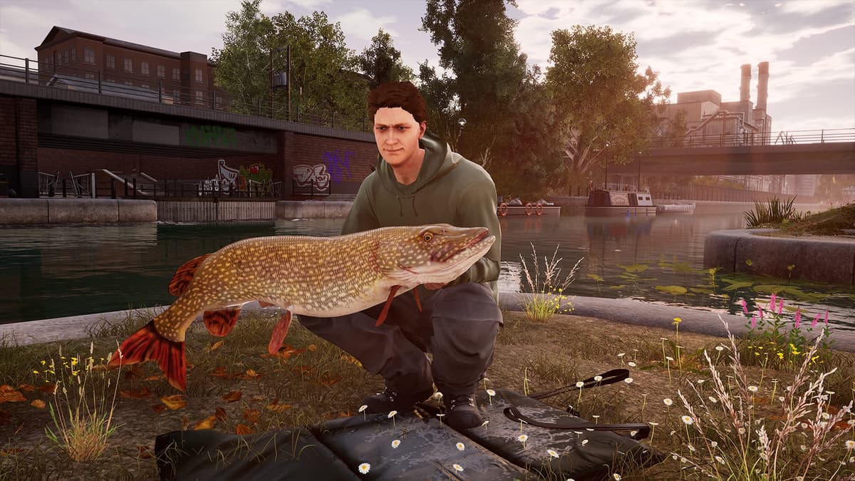 Picture of Fishing Sim World: Pro Tour