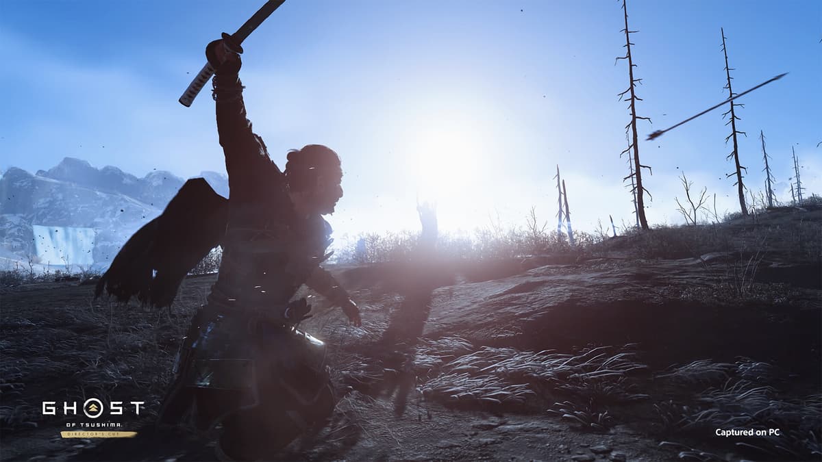 Picture of Ghost of Tsushima DIRECTOR'S CUT