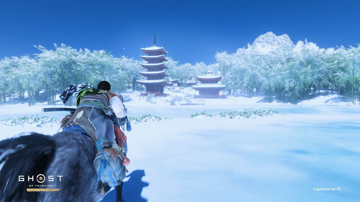 Picture of Ghost of Tsushima DIRECTOR'S CUT