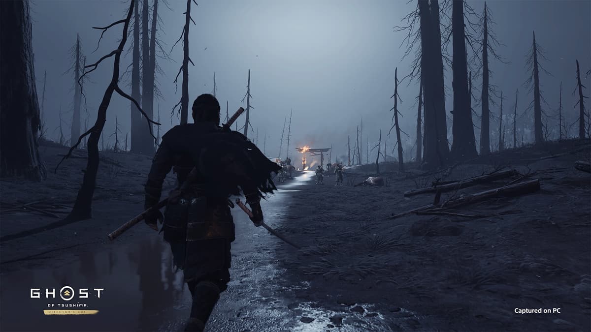 Picture of Ghost of Tsushima DIRECTOR'S CUT