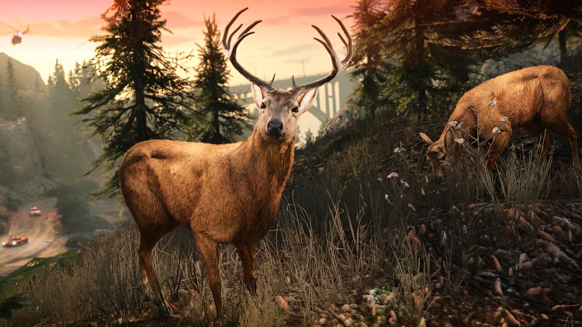 Picture of Grand Theft Auto V Enhanced