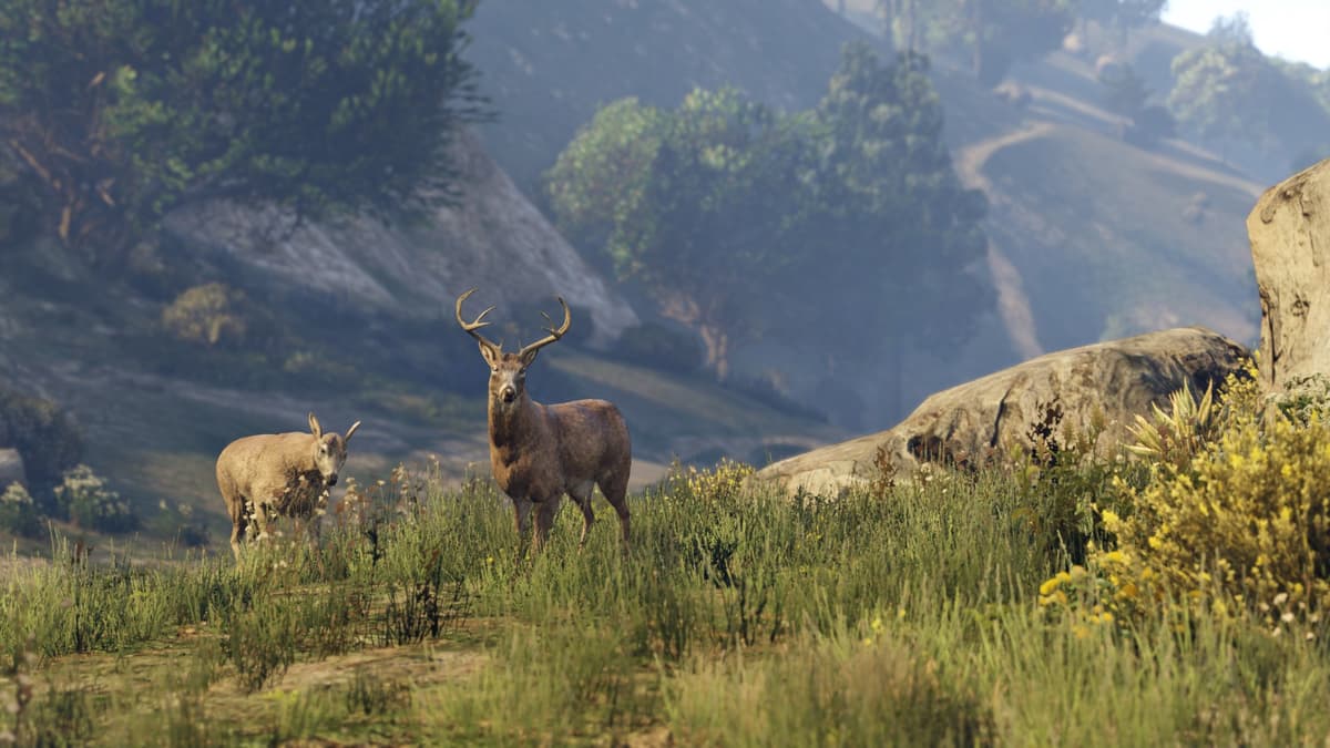 Picture of Grand Theft Auto V: Premium Online Edition - Xbox One 