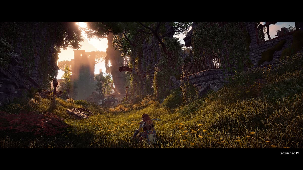 Picture of Horizon Zero Dawn™ Complete Edition