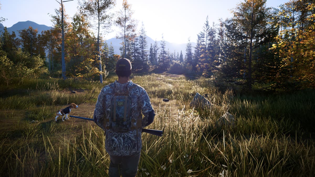 Picture of Hunting Simulator 2