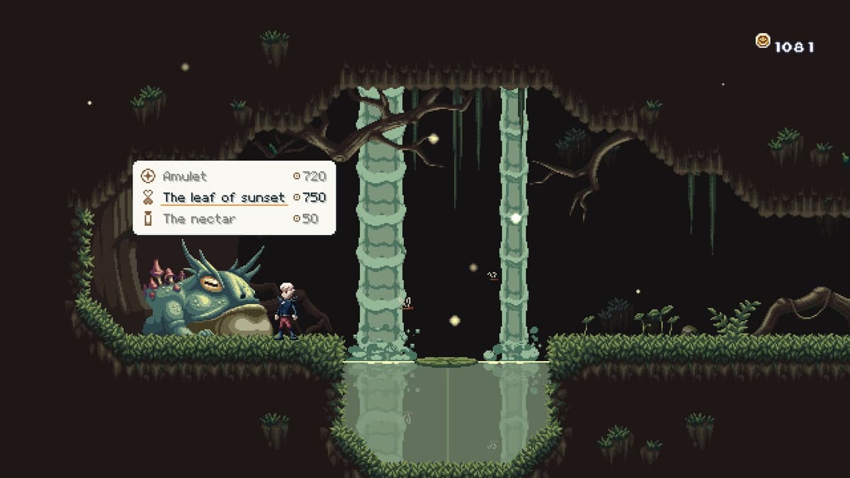 Picture of Kingdom Shell