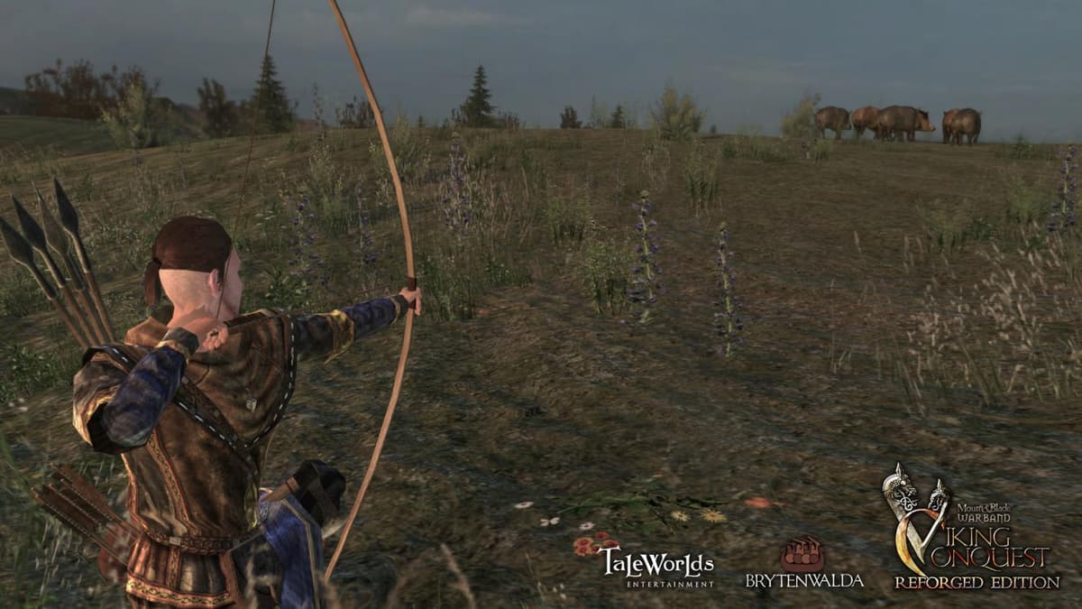 Picture of Mount & Blade: Warband - Viking Conquest Reforged Edition
