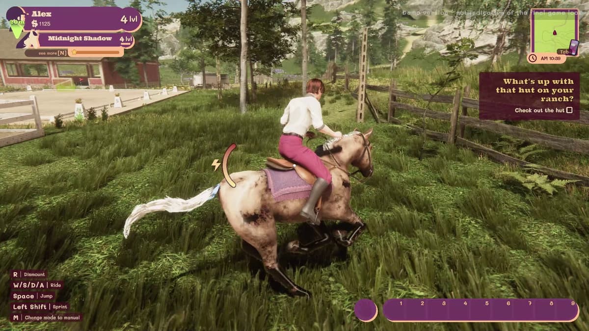 Picture of My Horse: Bonded Spirits