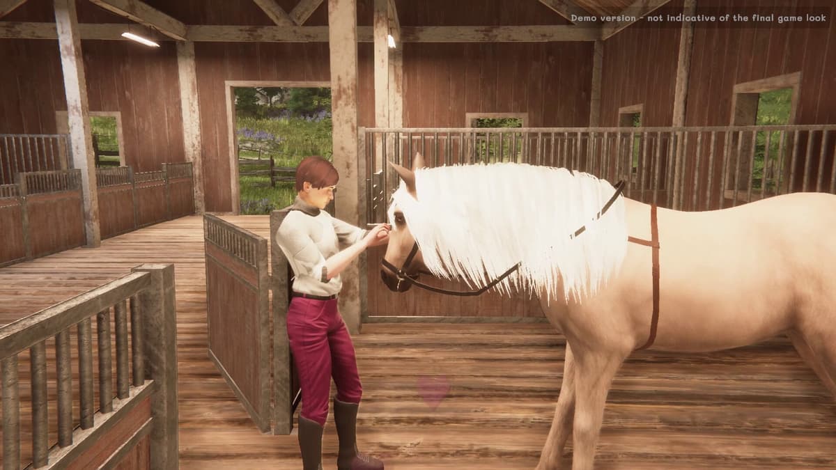 Picture of My Horse: Bonded Spirits