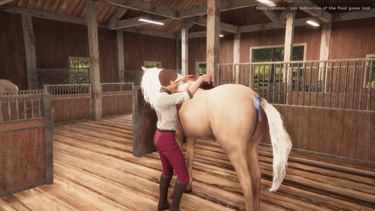 Picture of My Horse: Bonded Spirits