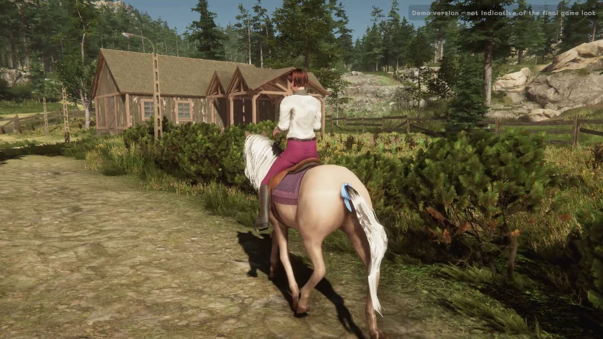 Picture of My Horse: Bonded Spirits