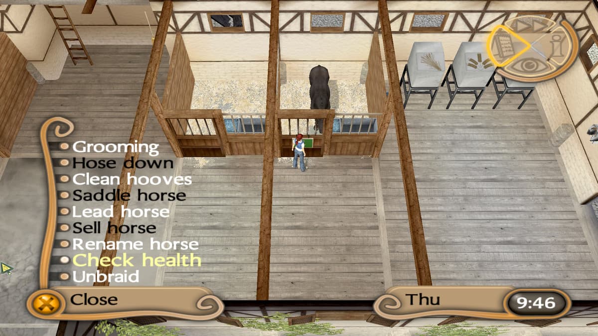 Picture of My Riding Stables: Life with Horses