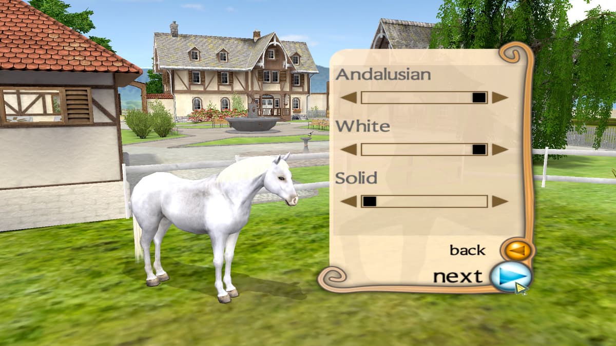 Picture of My Riding Stables: Life with Horses