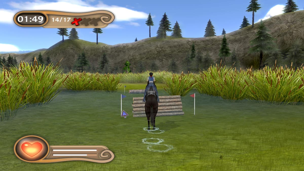 Picture of My Riding Stables: Life with Horses