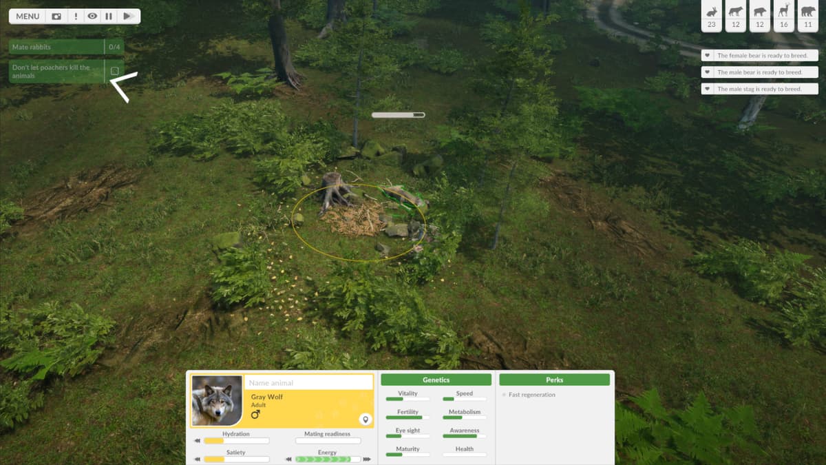 Picture of Natural Instincts: European Forest
