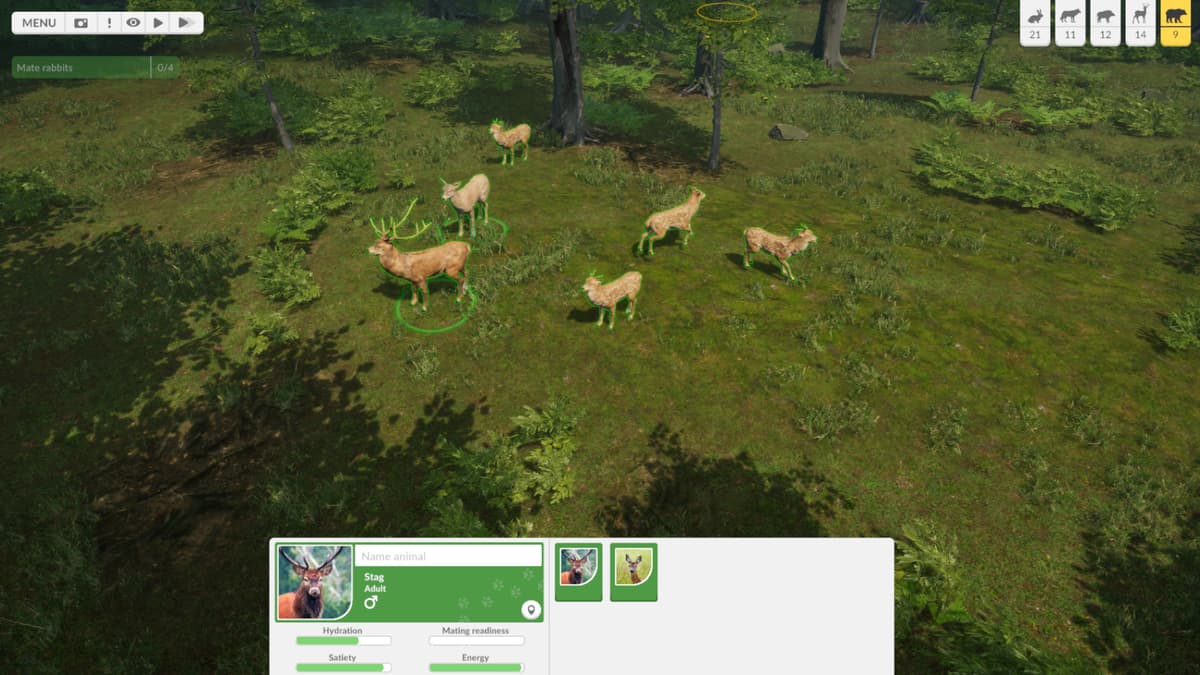 Picture of Natural Instincts: European Forest