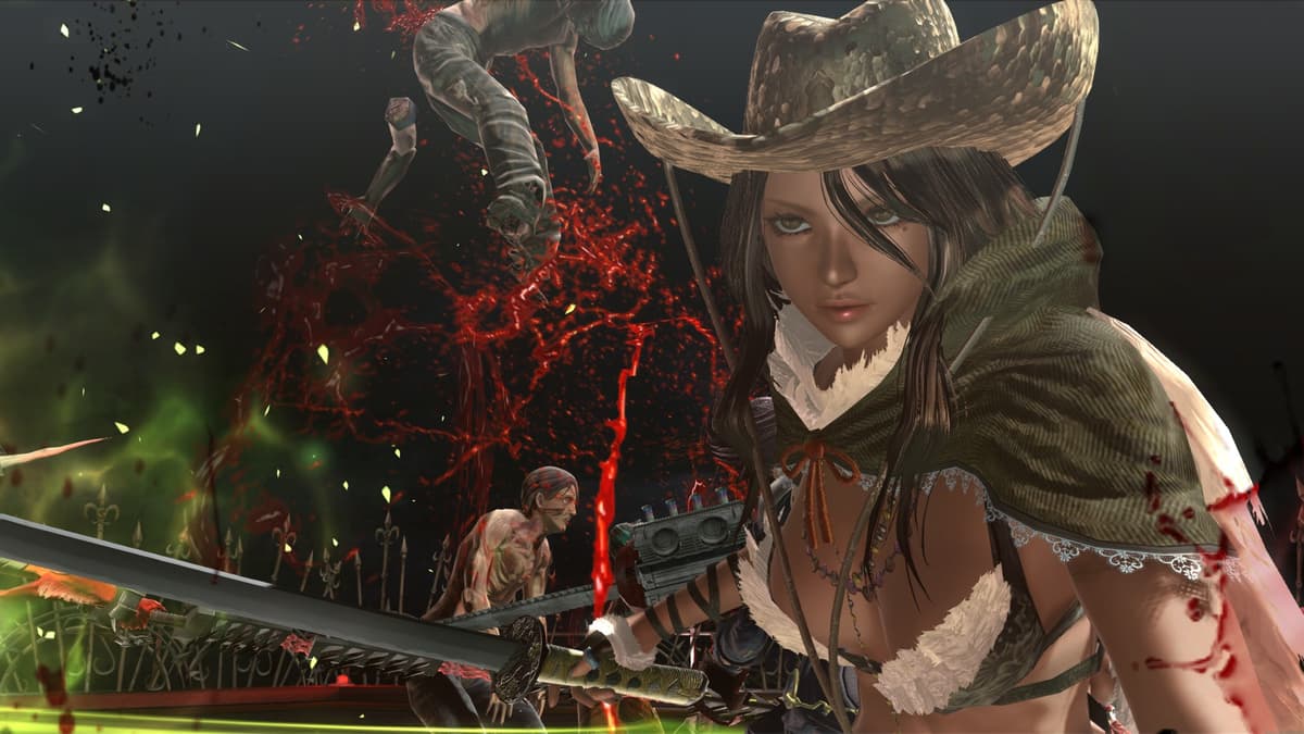 Picture of Onechanbara Z2: Chaos