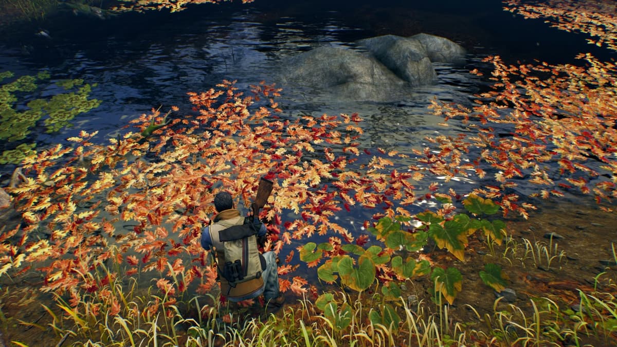 Picture of Open Country