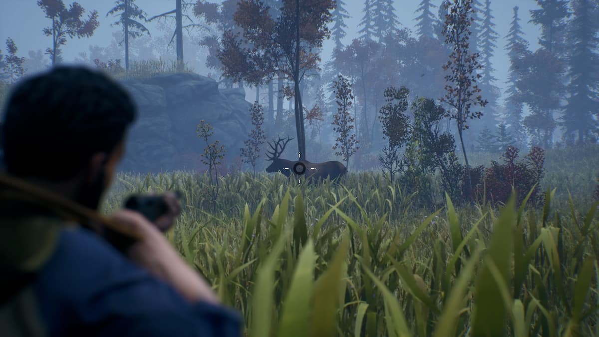 Picture of Open Country