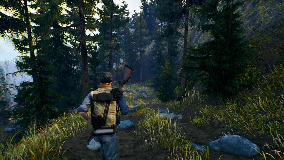 Picture of Open Country