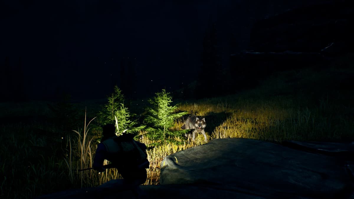 Picture of Open Country