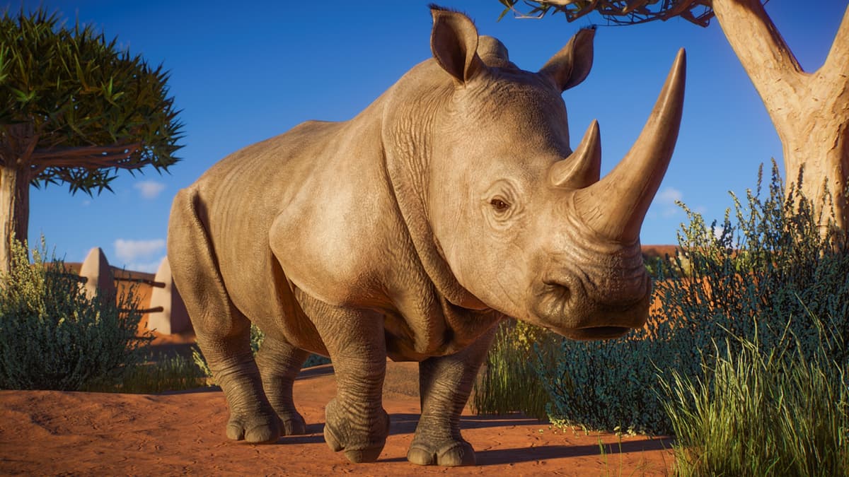 Picture of Planet Zoo - Africa Pack