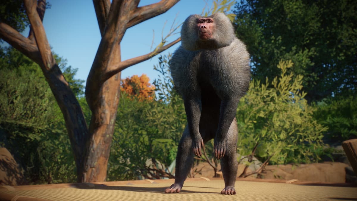 Picture of Planet Zoo: Zookeepers Animal Pack