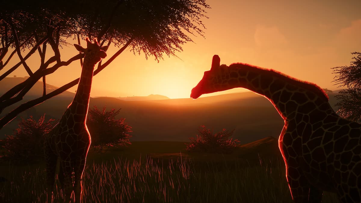 Picture of Planet Zoo