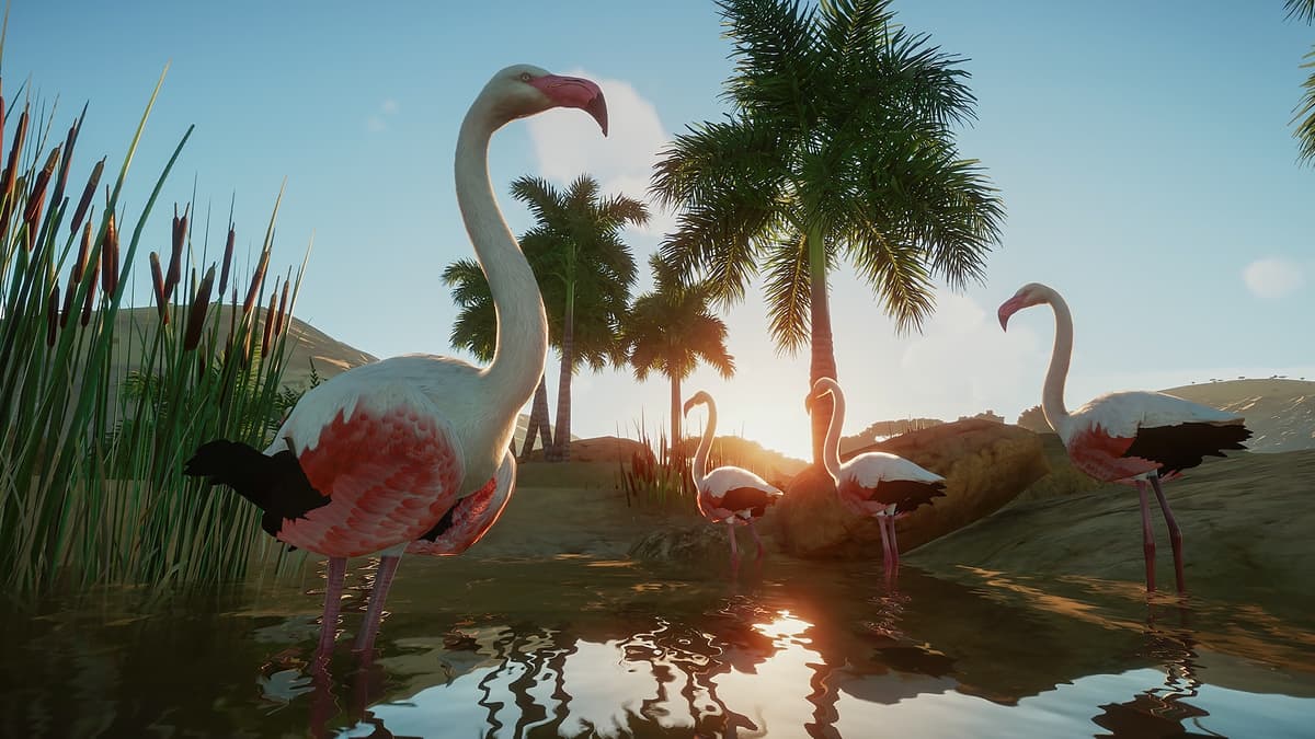 Picture of Planet Zoo