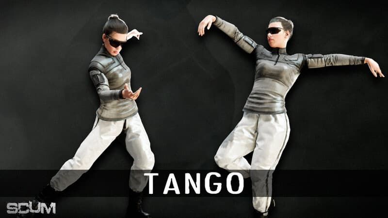 Picture of SCUM Dance Pack