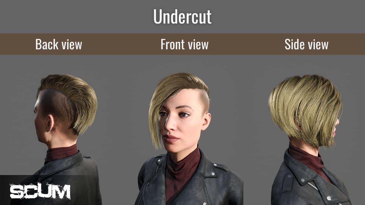 Picture of SCUM Female Hair Pack