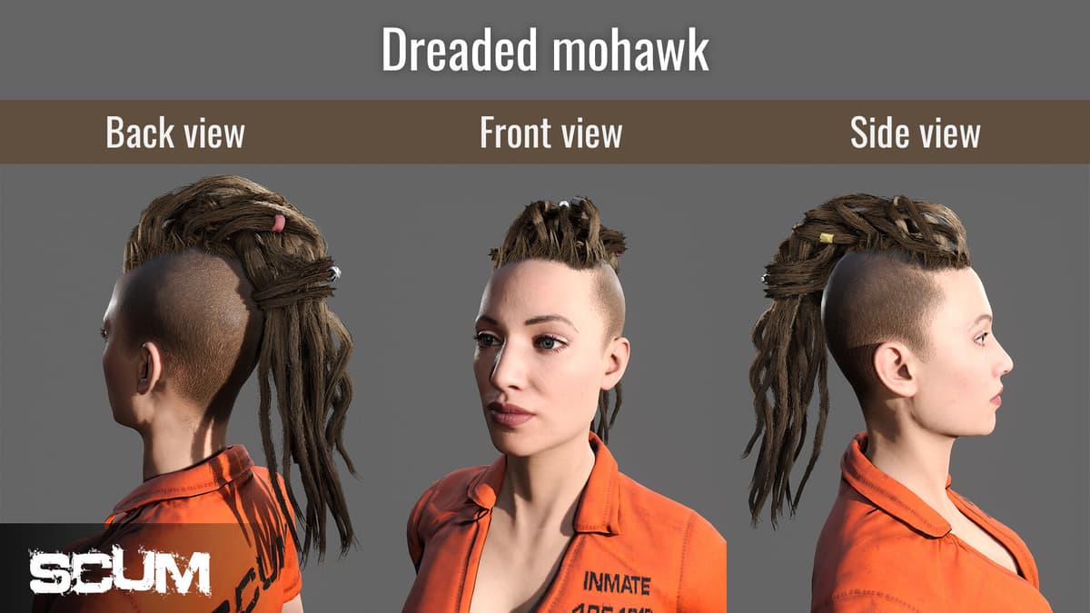 Picture of SCUM Female Hair Pack