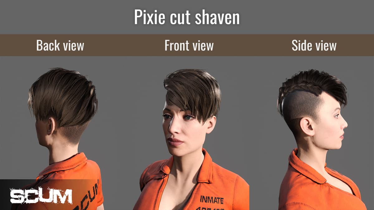 Picture of SCUM Female Hair Pack