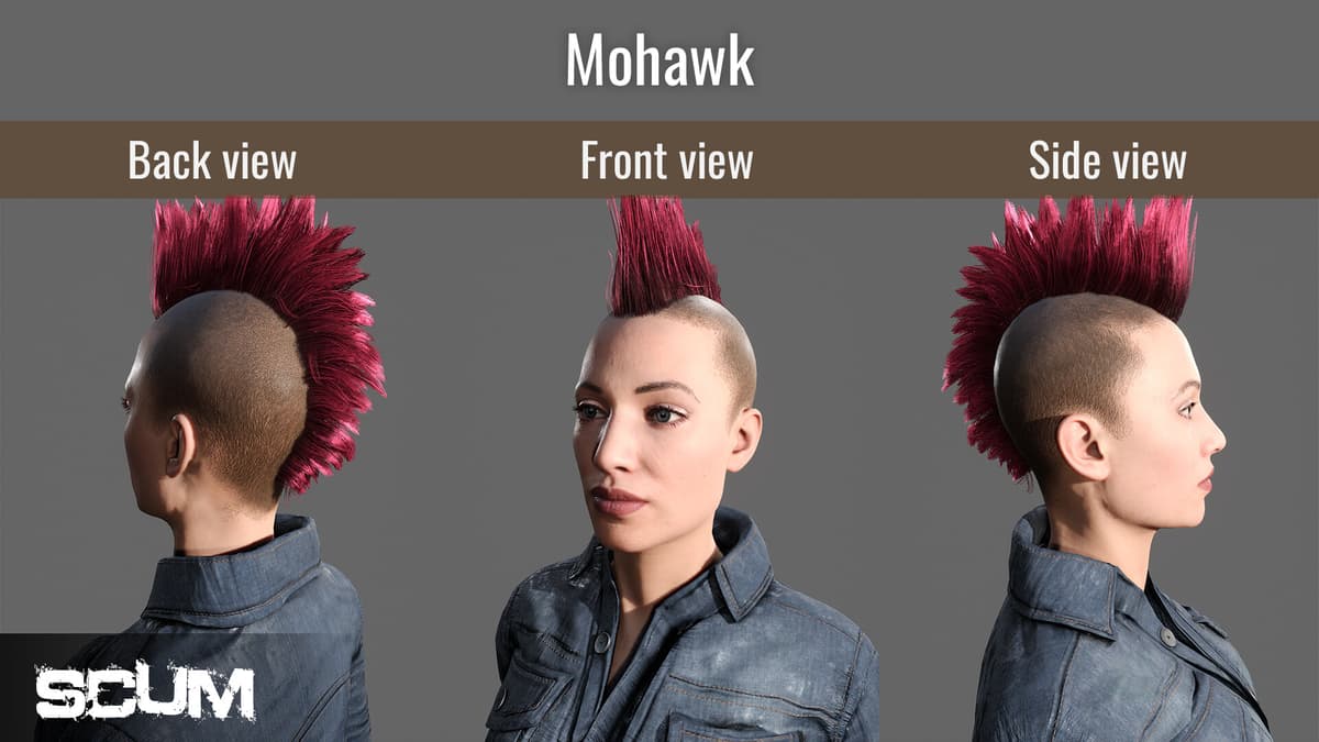 Picture of SCUM Female Hair Pack