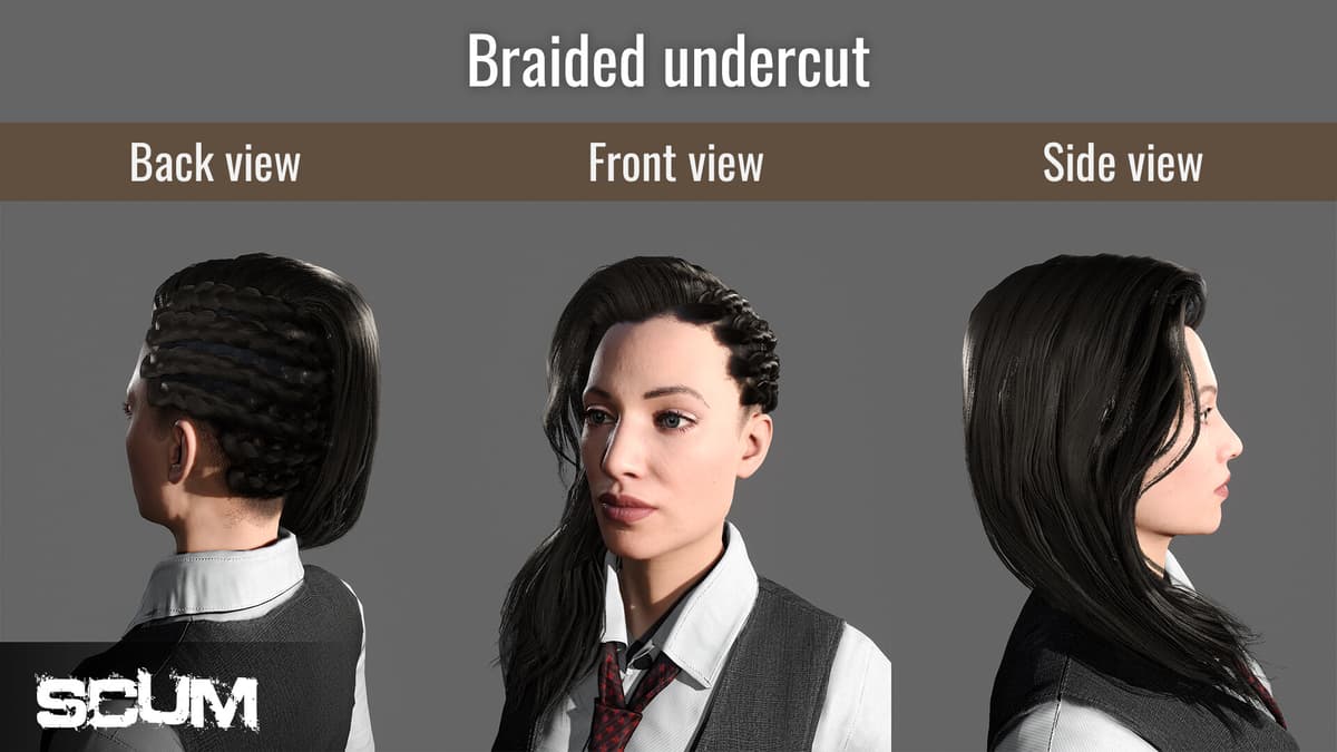 Picture of SCUM Female Hair Pack