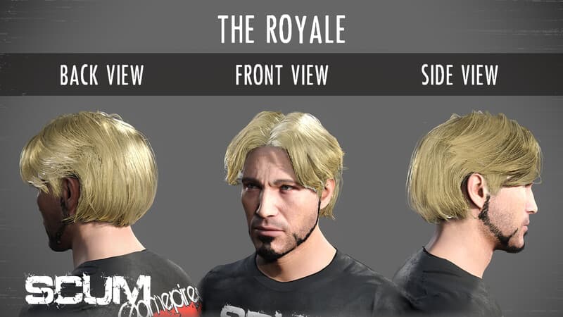 Picture of SCUM Male Hair Pack