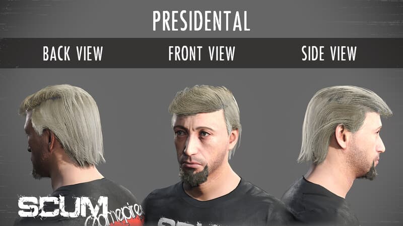 Picture of SCUM Male Hair Pack