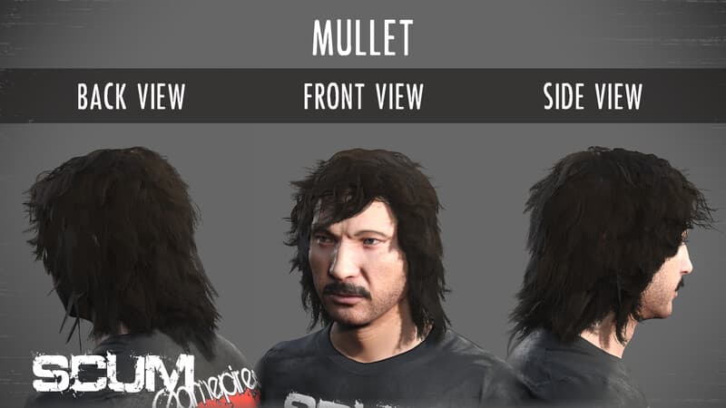 Picture of SCUM Male Hair Pack